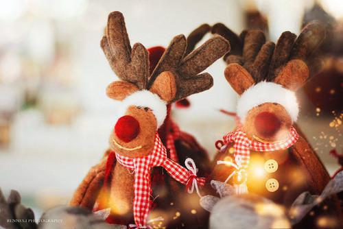 时雨毕风姚慕儿免费 人间雪满君不闻完整版小说