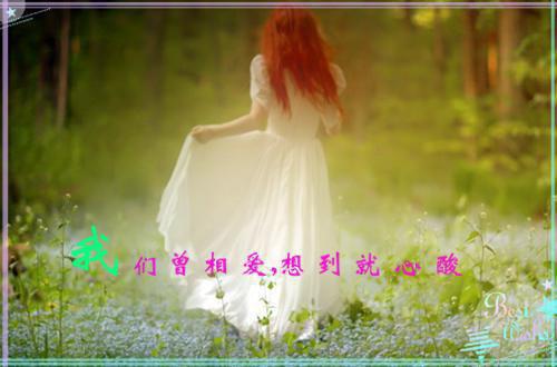 乔希念江淮小说全免读 乔希念江淮第1章在线阅读