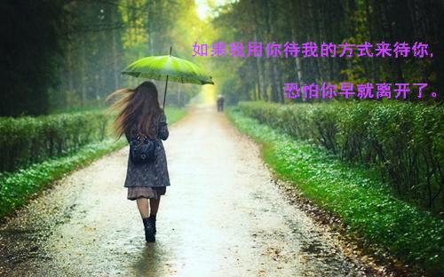 快穿：团宠被我猛打脸夏洛夏囡囡小说在线免费阅读(大结局)