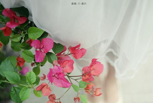 傅婉宁霍渊小说在哪里看 傅婉宁霍渊在线阅读第6章