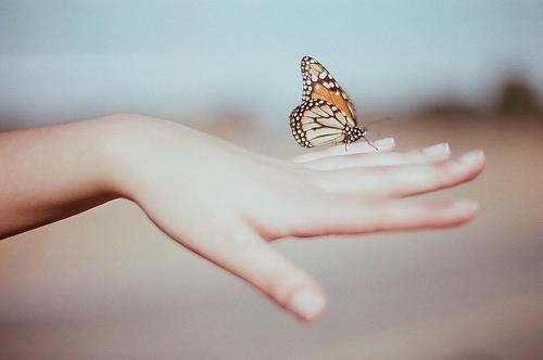 人面桃花长相忆：全书+后续（阮雾梨闻砚辞阮见微）最新推荐_最新推荐人面桃花长相忆：全书+后续（阮雾梨闻砚辞阮见微）