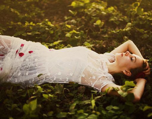 玄泽飞鸢流云小说 玄泽飞鸢流云免费章节阅读