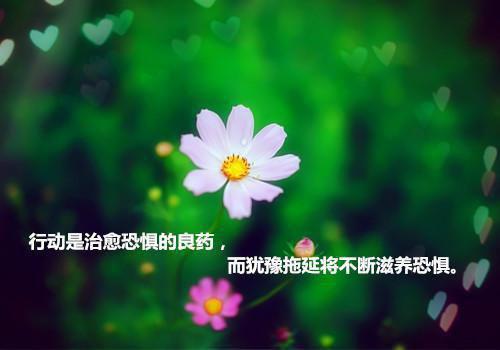 太子妃杀我全家夺得皇位，重生后我成全她与细作裴钰苏战缨最新章节在线阅读