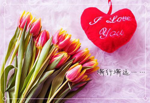 秦洛胤宋纾语免费阅读 秦洛胤宋纾语最新章节目录