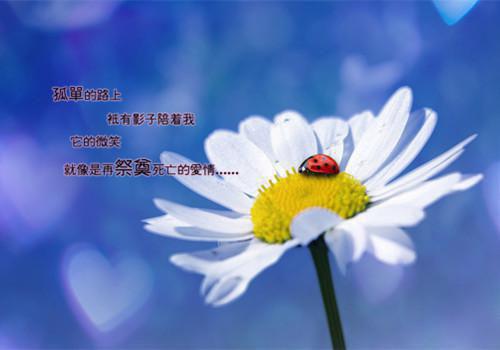 (番外)+(全文)夏思淼祁司野：结局+番外（夏思淼祁司野）全文免费阅读无弹窗大结局_（夏思淼祁司野：结局+番外）最新章节列表_笔趣阁（夏思淼祁司野）