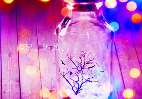 兼祧两房害我命？送你全家火葬场傅璋梁幼仪小说最新章节(在线阅读)