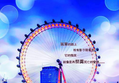 再不见明月高悬结局+番外新书全文小说宋以珩姜时愿小说在线阅读