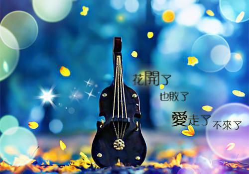 周稚芸沈墨琛（回首爱你正浓时：结局+番外）小说免费在线阅读_周稚芸沈墨琛全本最新后续阅读（回首爱你正浓时：结局+番外）