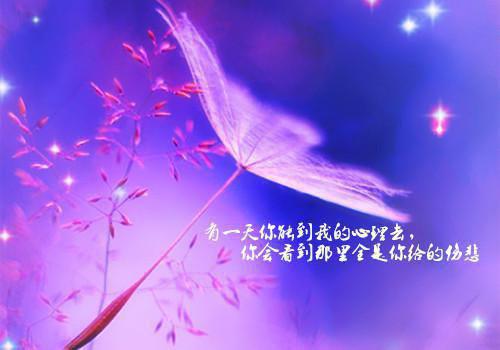 纪玫莺俞砚铭哪里可以看 纪玫莺俞砚铭免费阅读第1章