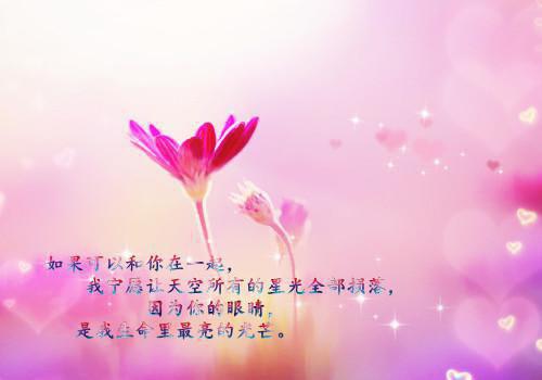 给你的第三封信是遗言宝藏全文阅读（沈佳芮顾温言）最新章节_给你的第三封信是遗言宝藏全文阅读