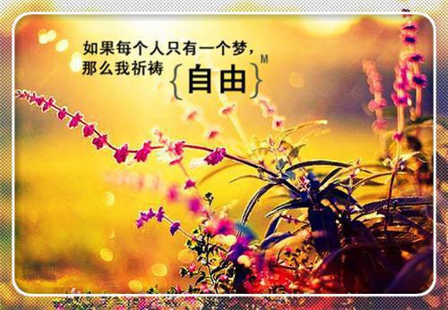 傅婉顾辰玺小说全文免费阅读 傅婉顾辰玺最新章节