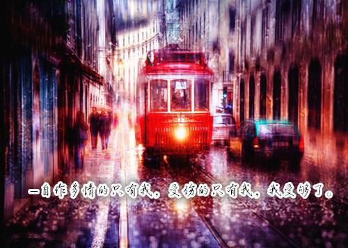 新手司机龟速挡路后，悔疯了小说(林薇张浩)章节阅读