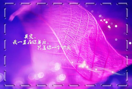 韩驰方雅君何文珠章节目录 终究是误了青梅小说免费阅读无弹窗
