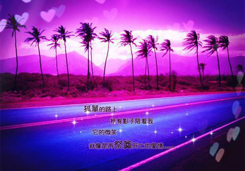 林将满林未盈小说叫什么名字 林将满林未盈全文免费阅读