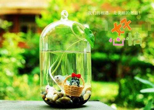 与抽签选中的佛子订婚后，抛弃我的竹马悔疯了免费试读 温执川程远辰姜望星小说