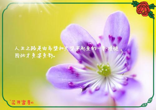 (最新)冯星婷沈非阳小说完整版免费阅读