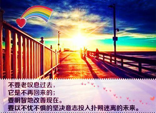 霍沉洲 沈青禾小说：全文+后续+结局（霍沉洲沈青禾）最新章节列表_霍沉洲 沈青禾小说：全文+后续+结局全文阅读