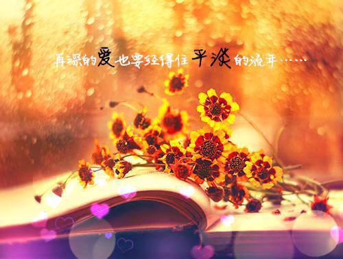 领证半年不亲近，八零糙汉破防了陆向东唐蜜免费章节在线阅读