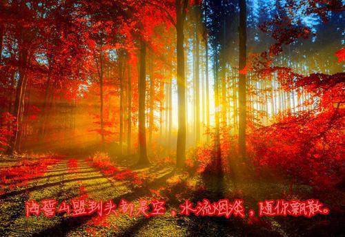 秦嘉言傅晏明小说在哪里看 秦嘉言傅晏明在线阅读第5章