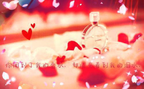 蓝月明江霖特别篇章节目录+章节前文（沧海月明鲛有泪）TXT清爽版在线