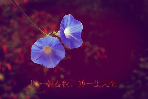 闻砚辞:人面桃花长相忆:+后续+结局(阮雾梨闻砚辞)全文免费阅读无弹窗大结局_(闻砚辞:人面桃花长相忆:+后续+结局阮雾梨闻砚辞)闻砚辞:人面桃花长相忆:+后续+结局阮雾梨闻砚辞最新章节列表_笔趣阁(阮雾梨闻砚辞)