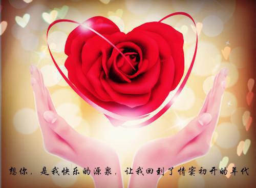 陶陶新生最新更新 江燃苏陶陶小说在线阅读