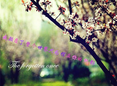 （不做情人凌颂）不做情人凌颂小说(凌颂季尧程)整书在线无广告高口碑小说
