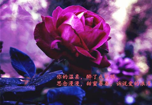 班长索要300元毕业照费用后林小满李梦瑶小说(完整)免费阅读