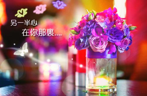(抖音小说)段玉萧姜岑免费阅读
