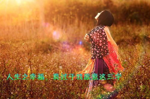 苔藓爬满旧日诺言高口碑（顾砚廷慕晚夏）最新推荐_最新推荐苔藓爬满旧日诺言高口碑（顾砚廷慕晚夏）