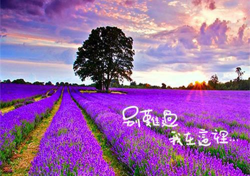 重生后不当好孕雌性首发小说 居虞在线阅读