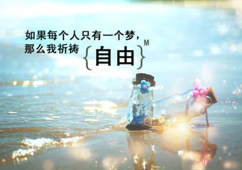 姜明珠苏昭梨小说章节目录 姜明珠苏昭梨免费阅读