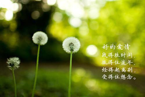 宋墨最后结局 宋墨完结版免费阅读