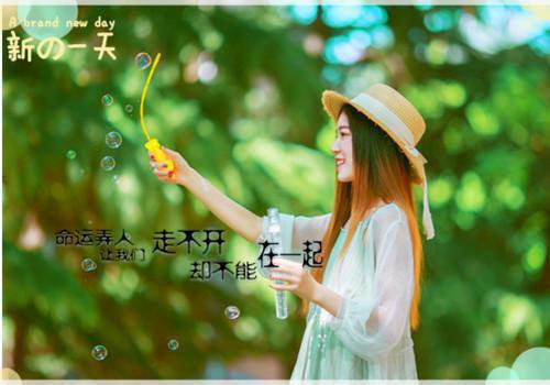 沈梦晚傅干屿沈梦晚傅干屿章节目录免费看