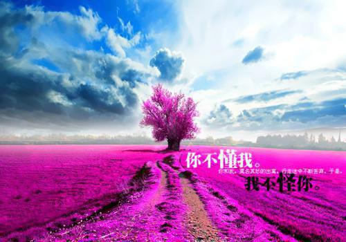 爱意只至黎明前最新更新 程依橙阮明裴小说在线阅读