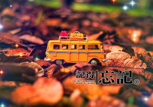 (完整版)祝歆月霍辰夜祝泽宇小说免费阅读无广告