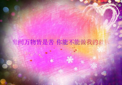 离婚后，她成了全球追求对象全文阅读（傅靳琛沐暖暖）最新章节_离婚后，她成了全球追求对象全文阅读