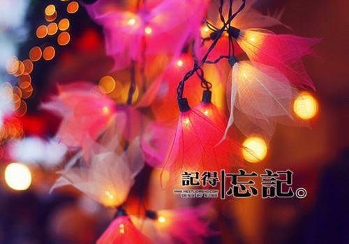 太子爷，我真的是女人敖天陈饺最最新推荐_最新章节阅读太子爷，我真的是女人敖天陈饺最