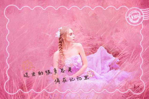 白丁儿的小说石女退婚十八次后，彩礼涨到了百万必读白丁儿罗佑霖全文在线阅读
