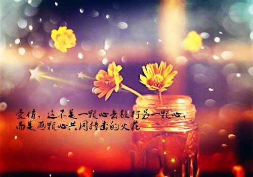 被假千金刺瞎全家背刺，不知我背后是国家(完整版)全文免费阅读沈念林煜城小说