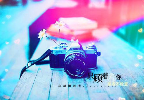 沈岁宁封柏寒免费全本小说 沈岁宁封柏寒章节目录