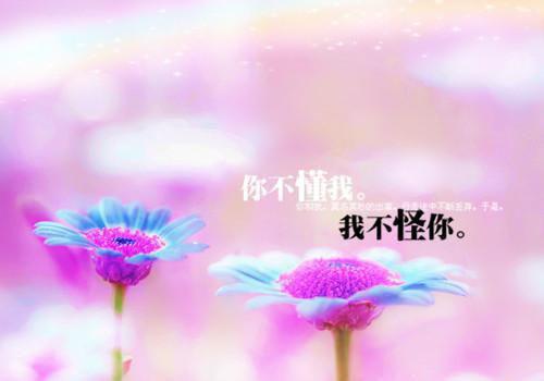 爱意同深海埋葬免费阅读李柒柒小说