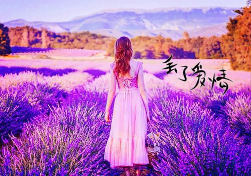 木子餐费无弹窗阅读 于老师袁聪聪小说
