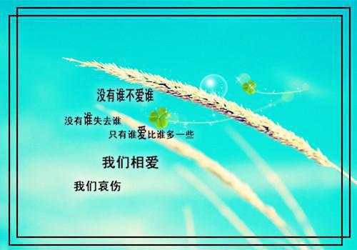 主角燕回清周长川小说 燕回清周长川小说全文免费阅读