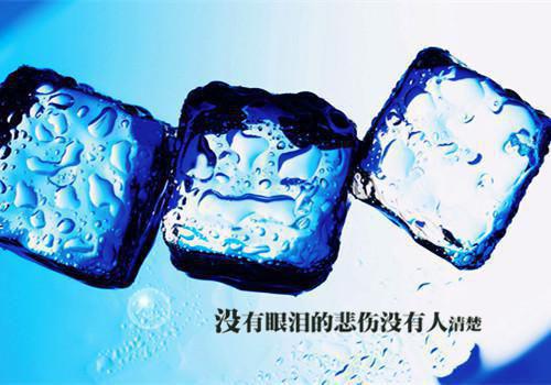 完结文今夜离港遇雪最新章节列表_完结文今夜离港遇雪全文免费阅读（商南枝傅礼臣）