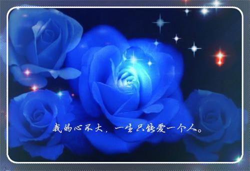 年代文对照组？不卷了！免费无弹窗 江知意闻砚舟小说阅读