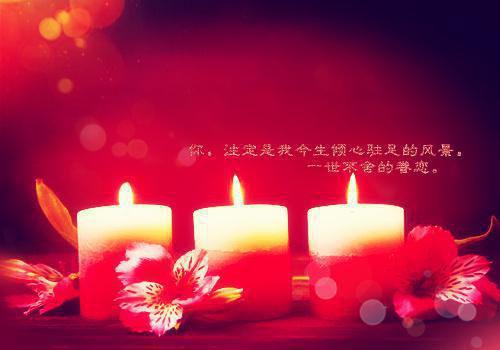 林择栖沈安馨免费小说 林择栖沈安馨全文阅读目录