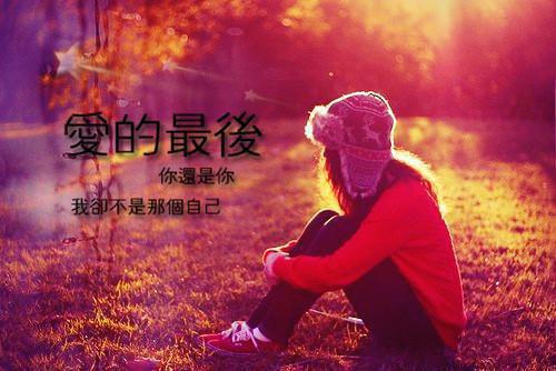 钟晚意宋文瑾小说叫什么名字 钟晚意宋文瑾全文免费阅读