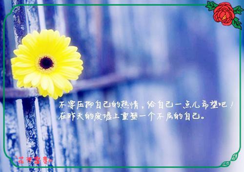 林晓云苏清鸢全文阅读 林晓云苏清鸢小说最新章节