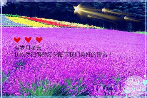 怀孕被老公送给死对头后，我收回了他的眼角膜在线阅读 季亭书余歆歆小说